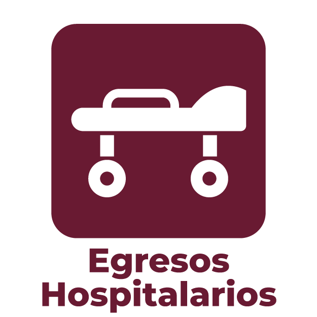Datos Abiertos Egresos Hospitalarios