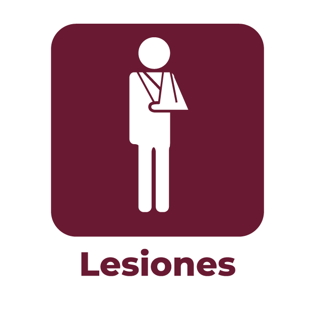 Datos Abiertos Lesiones