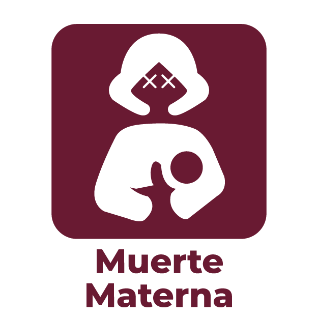 Datos Abiertos Muerte Materna