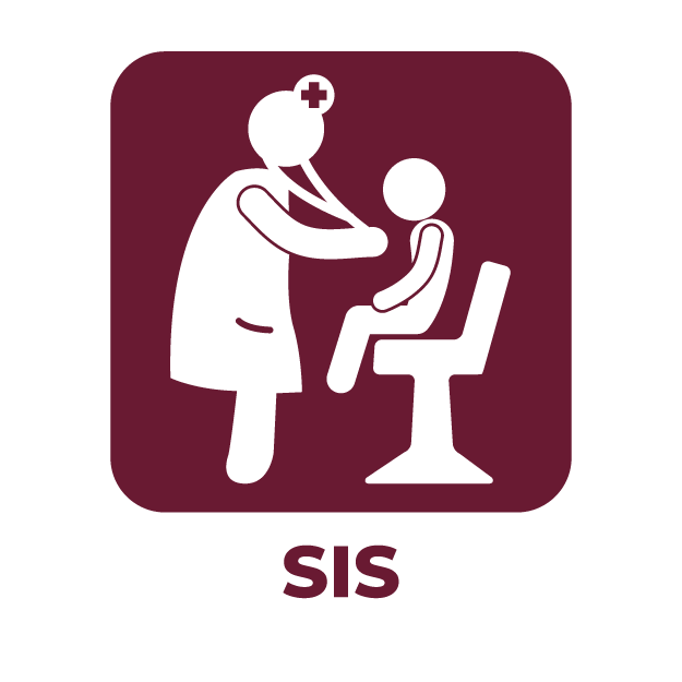 Subsistema de Prestación de Servicios (SIS)